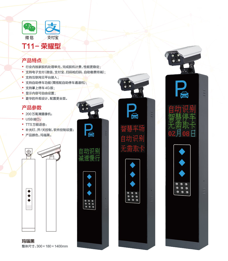 T11-荣耀型